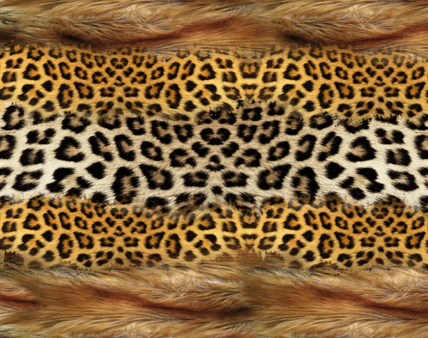 Textura Del Patrón Piel Leopardo Estampado Moda —  Fotos de Stock