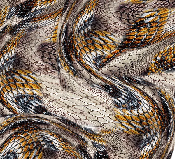Wzór Skóry Węża Tekstury Modny Nadruk — Zdjęcie stockowe