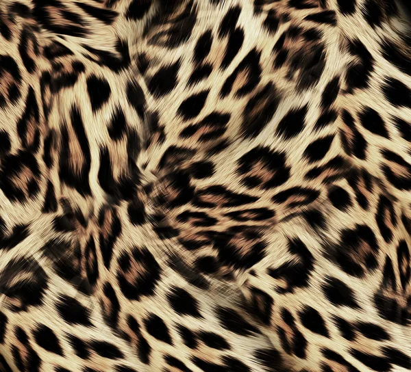 Struttura Modello Pelle Leopardo Stampa Alla Moda — Foto Stock