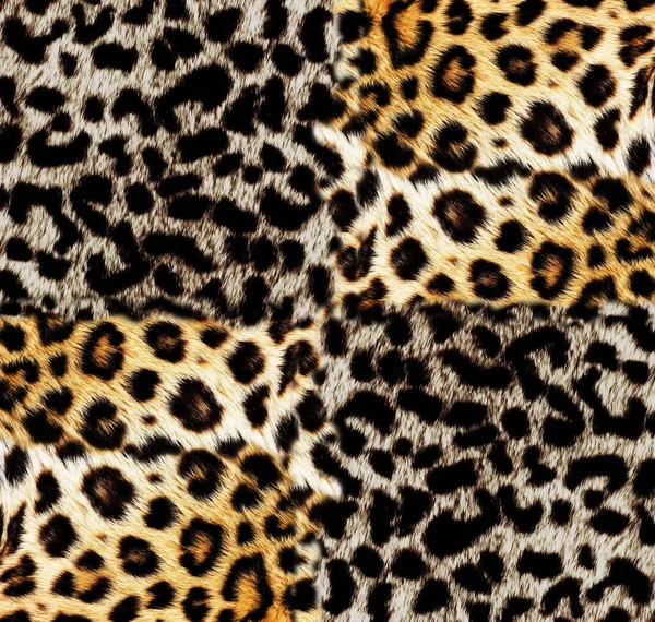 Leopar deseni dokusu; Moda deseni