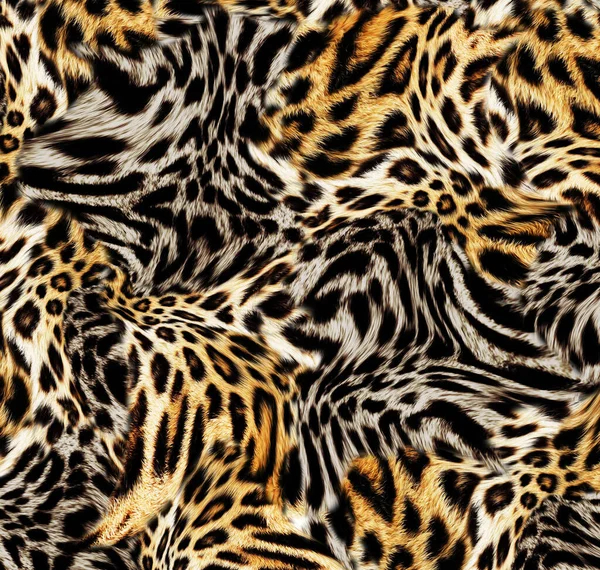 Leopard Skin Pattern Texture Fashionable Print — Stock Photo, Image