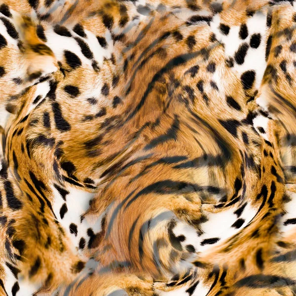 Tiger Skin Pattern Texture Fashionable Print —  Fotos de Stock