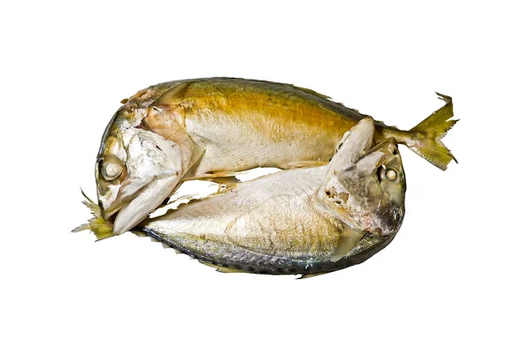 Zwei Makrelen — Stockfoto