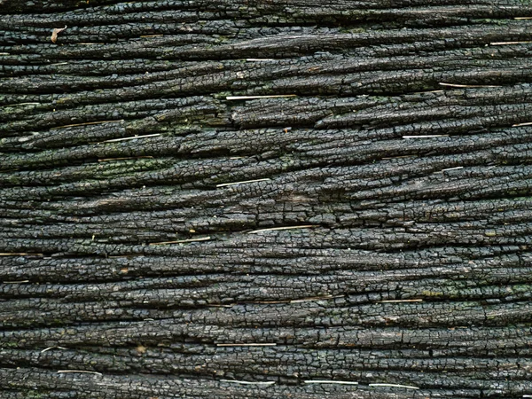 काळा लाकूड पोत पार्श्वभूमी — स्टॉक फोटो, इमेज
