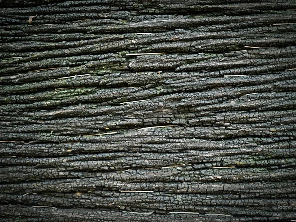 Fondo de textura madera negra — Foto de Stock