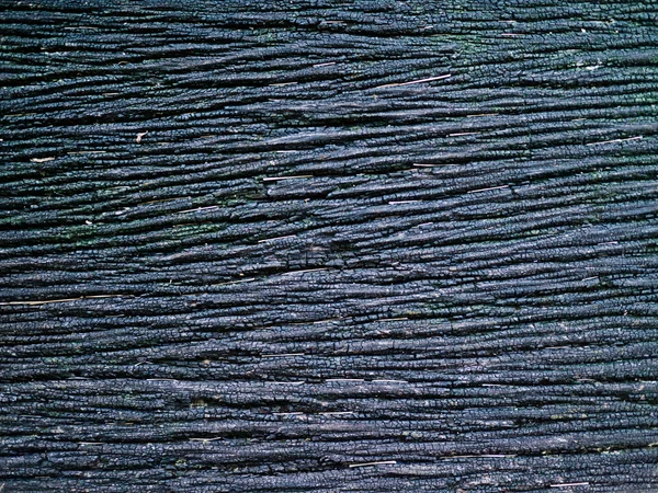 Fondo de textura madera negra — Foto de Stock