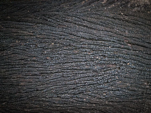 Schwarzes Holz Textur Hintergrund — Stockfoto