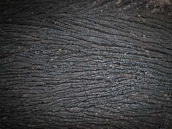 Fondo de textura madera negra — Foto de Stock