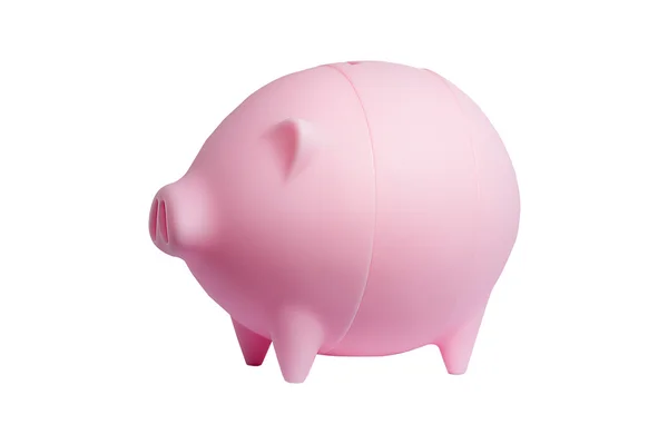 Pork savings — Stock Photo, Image