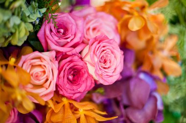 arka plan olarak güzel güller