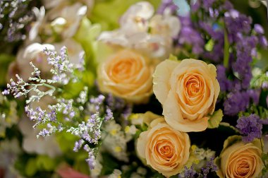 arka plan olarak güzel güller