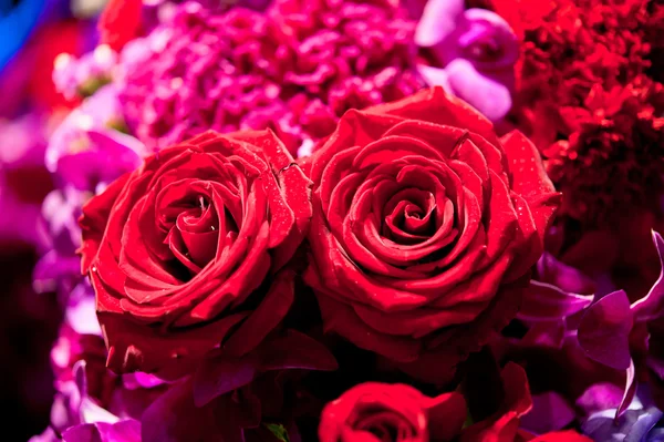 A háttérben a gyönyörű rózsák — Stock Fotó