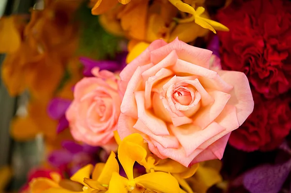 Hermosas rosas como fondo — Foto de Stock