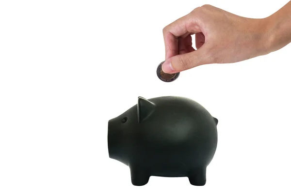 Pork savings — Stock Photo, Image