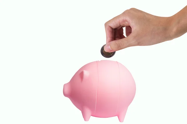 Pork savings — Stock Photo, Image