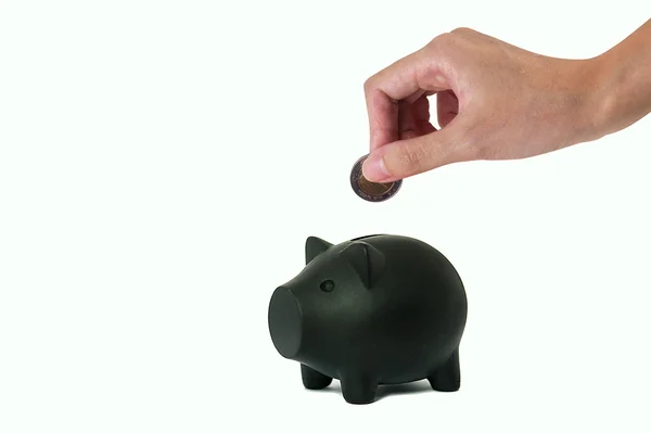 Pork savings — Stock Photo, Image