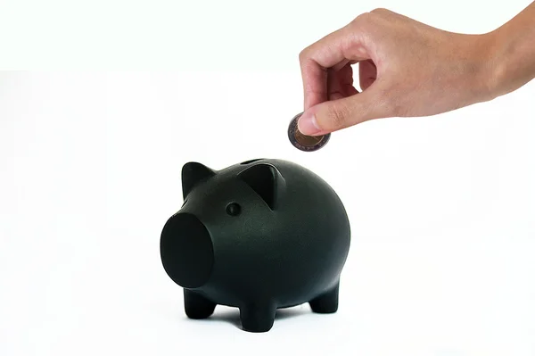 Pork savings — Stock Photo, Image