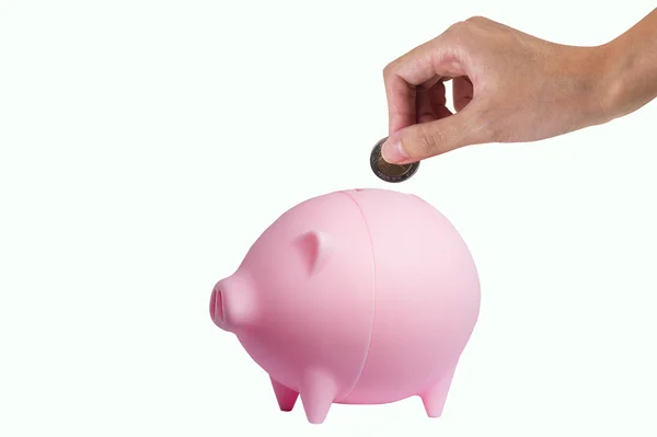 Pork savings — Stock Photo, Image