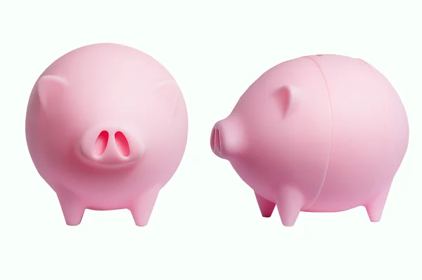 Экономия свинины — стоковое фото