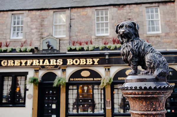 Greyfriars bobbygreyfriars bobby