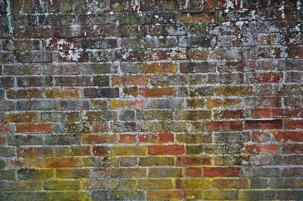 Oude bakstenen muur textuur — Stockfoto