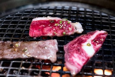 Japanese barbecue is called Yakiniku