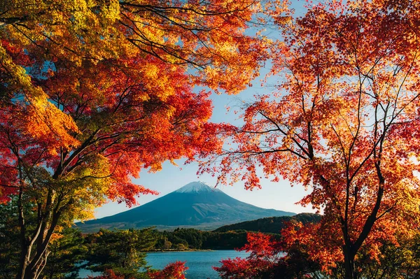 가을의 므츠후지 — 스톡 사진