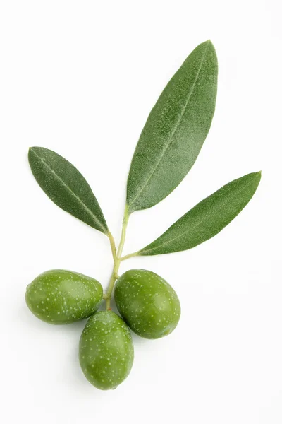 Yeşil Zeytin ve yaprakları