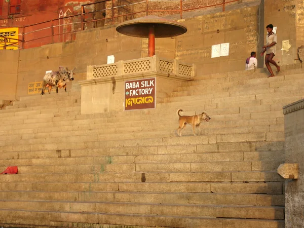 Varanasi floden — Stockfoto