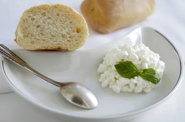 Fresh cheese — Stock Photo, Image