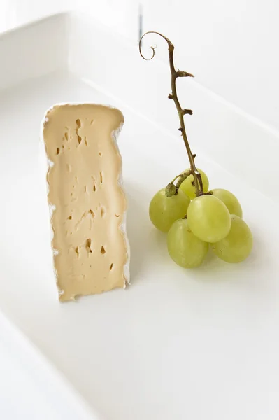 Cheese. Camembert and grapes — Stock Photo, Image