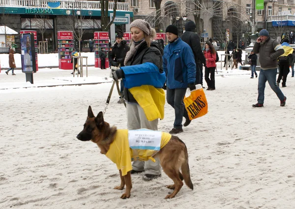 Euromaidan — Zdjęcie stockowe