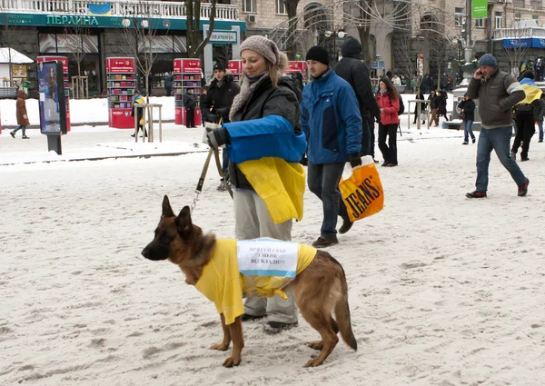 Euromaidan — Stockfoto