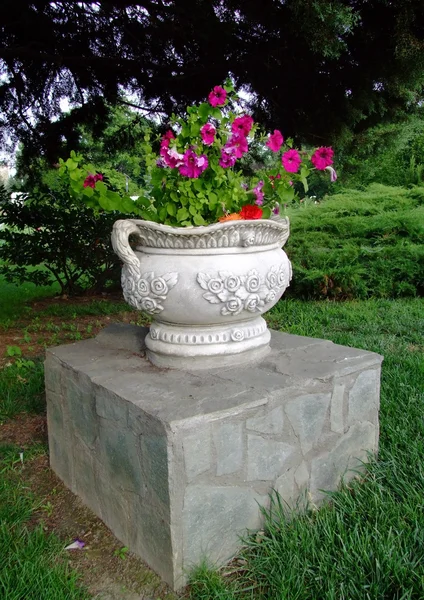 Flower vase — Stock Photo, Image