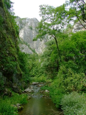 Dağ ve nehir turda tuşları
