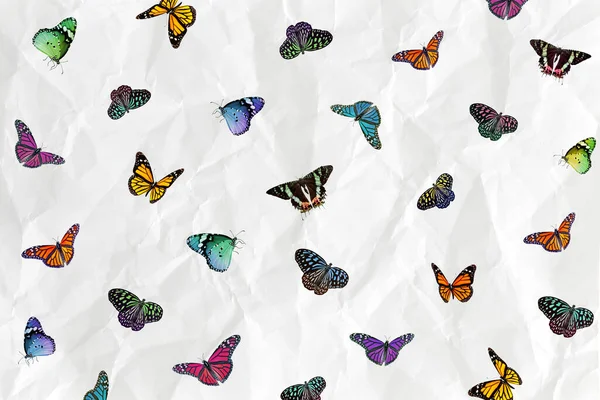 Různé Motýli Retro Pozadí — Stock fotografie