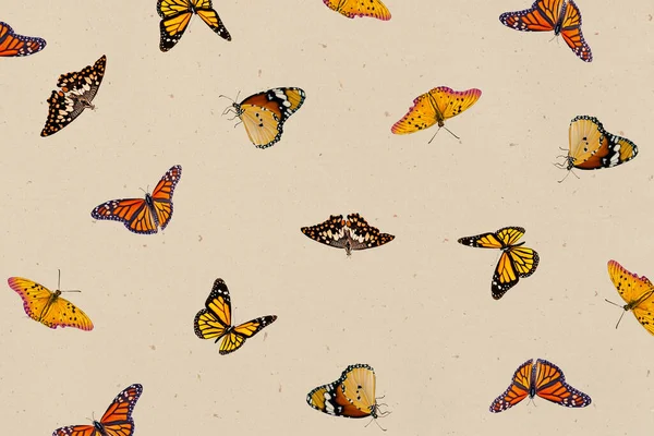 様々な蝶のレトロな背景 — ストック写真