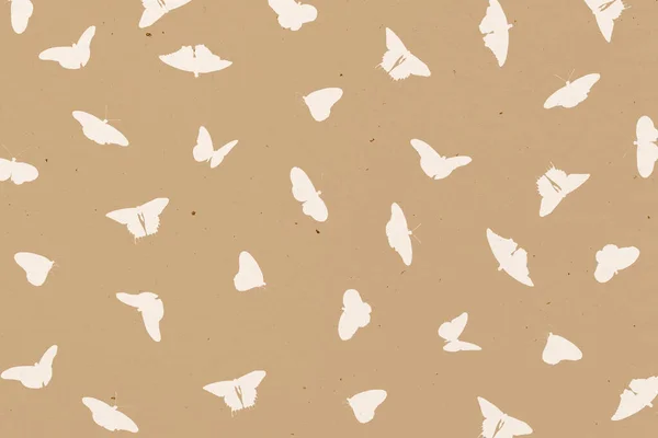 나비들의 — 스톡 사진