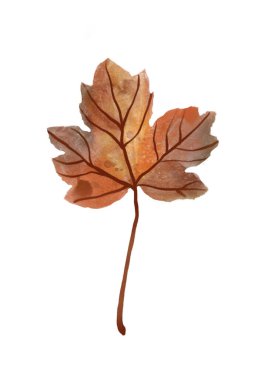 Beyaz arka plan üzerinde izole suluboya sonbahar yaprak.