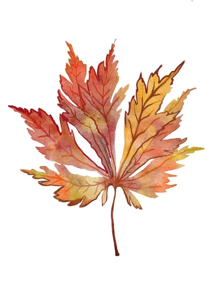 Akvarell Höst Löv Isolerad Vit Bakgrund — Stockfoto
