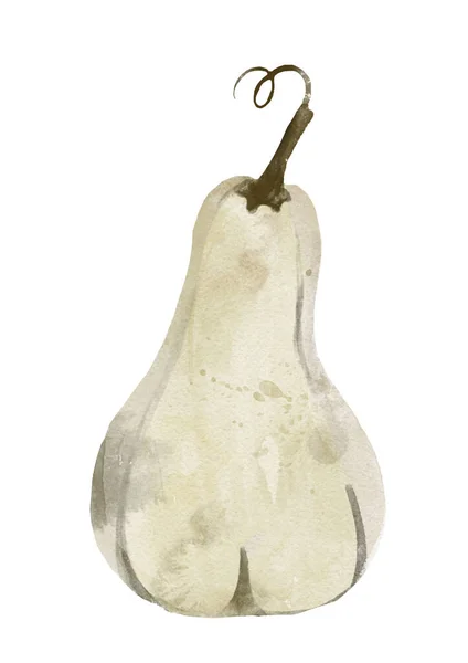 Illustrazione Acquerello Una Zucca Isolata Sfondo Bianco — Foto Stock