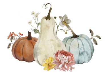 suluboya sonbahar kompozisyonu balkabakları, çiçekler ve yapraklarla.