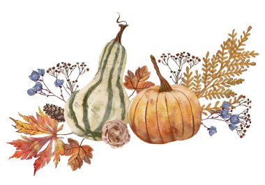 suluboya sonbahar kompozisyonu balkabakları, çiçekler, yapraklar ve koni.