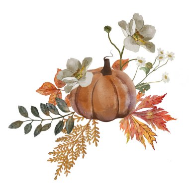 Sonbahar balkabağı çiçeklerinin suluboya çizimi ve beyaz arkaplanda izole edilmiş yapraklar 