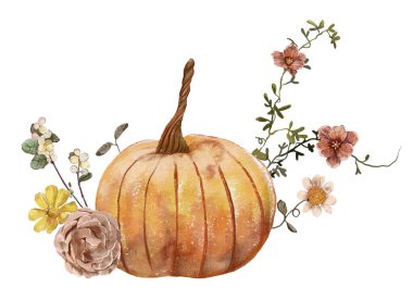 Sonbahar balkabağı çiçeklerinin suluboya çizimi ve beyaz arkaplanda izole edilmiş yapraklar 