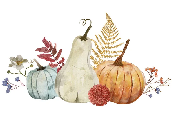 suluboya sonbahar kompozisyonu balkabakları, çiçekler ve yapraklarla.