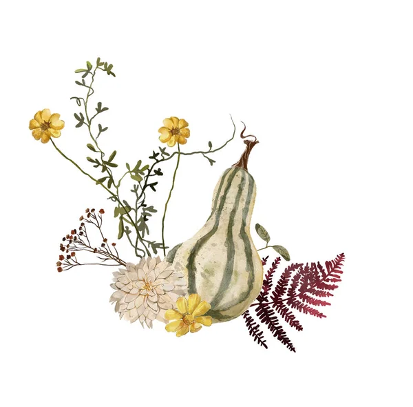 Ilustração Aquarela Flores Abóbora Outono Folhas Isoladas Fundo Branco — Fotografia de Stock