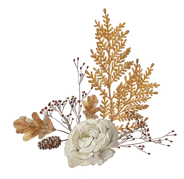Акварельная Иллюстрация Красивого Ботанического Растения Белом Фоне — стоковое фото