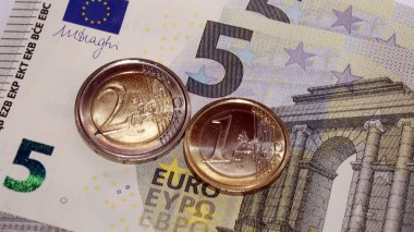 Avro paraları ve banknotları