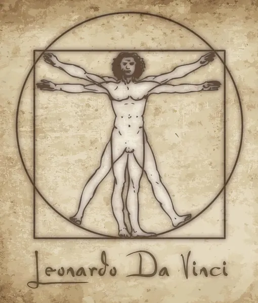 Вітрувіанська людини Леонардо — стоковий вектор